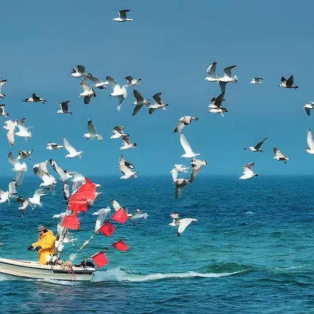 Appartement 180qm Penthouse Mit Sonnenterrasse